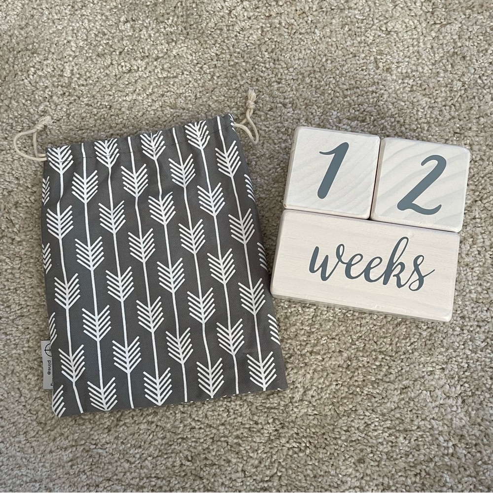 Baby Milestone Blocks